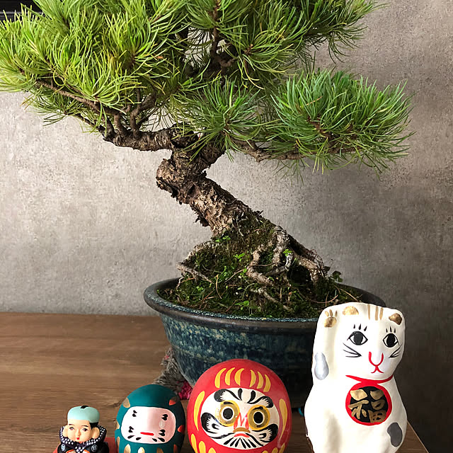 DOKODONさんの実例写真