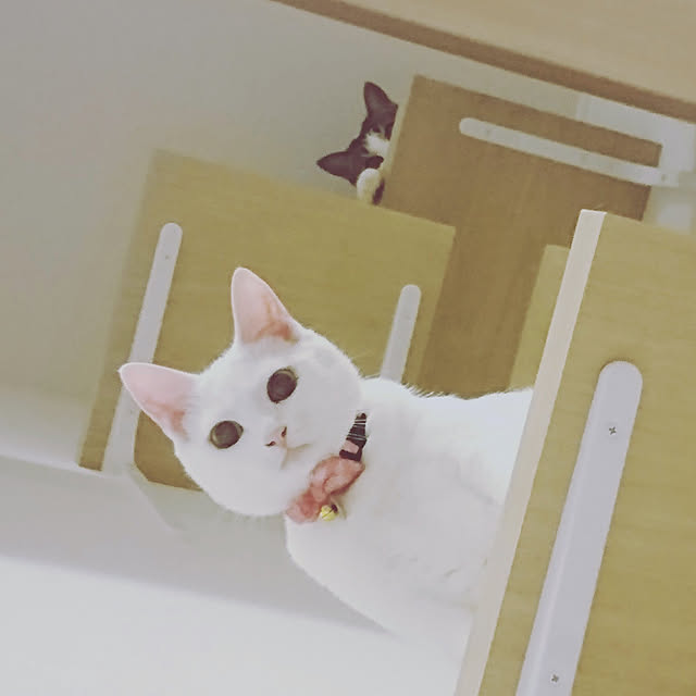 karenさんの実例写真