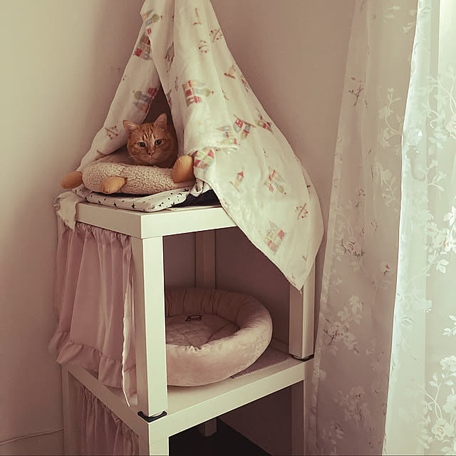 Gomaさんの実例写真
