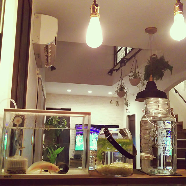 colonさんの実例写真