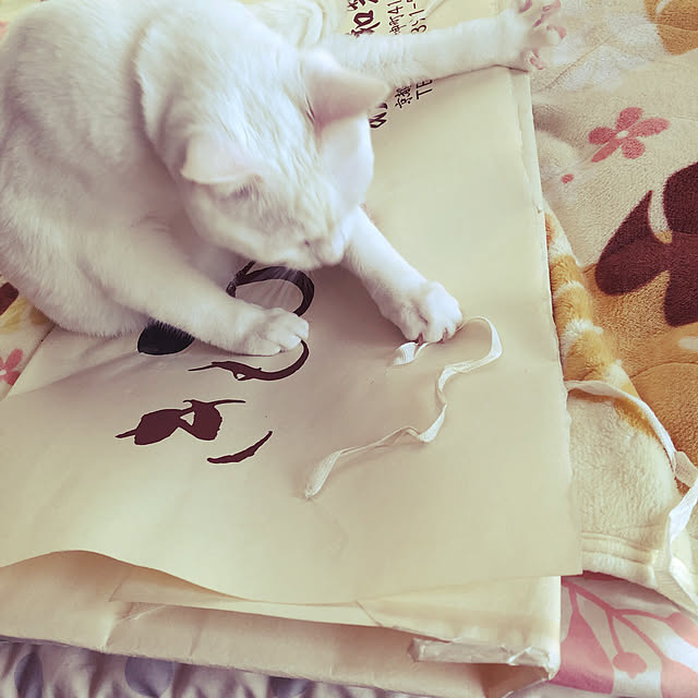 moyuhiさんの実例写真