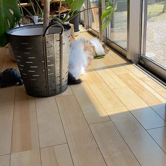cotesanさんの実例写真