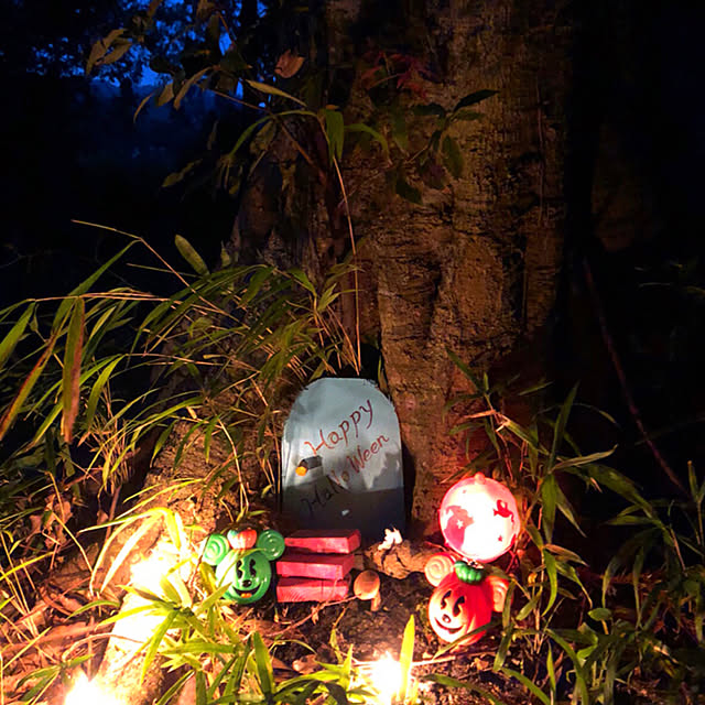 koyuriさんの実例写真