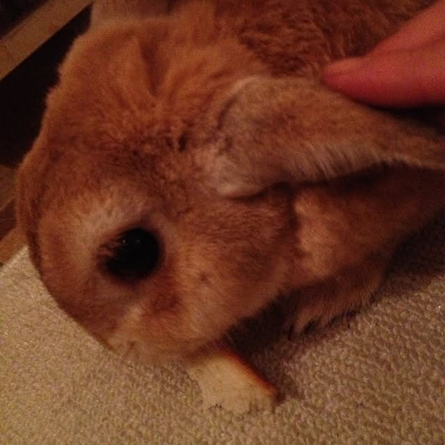 kimuさんの実例写真