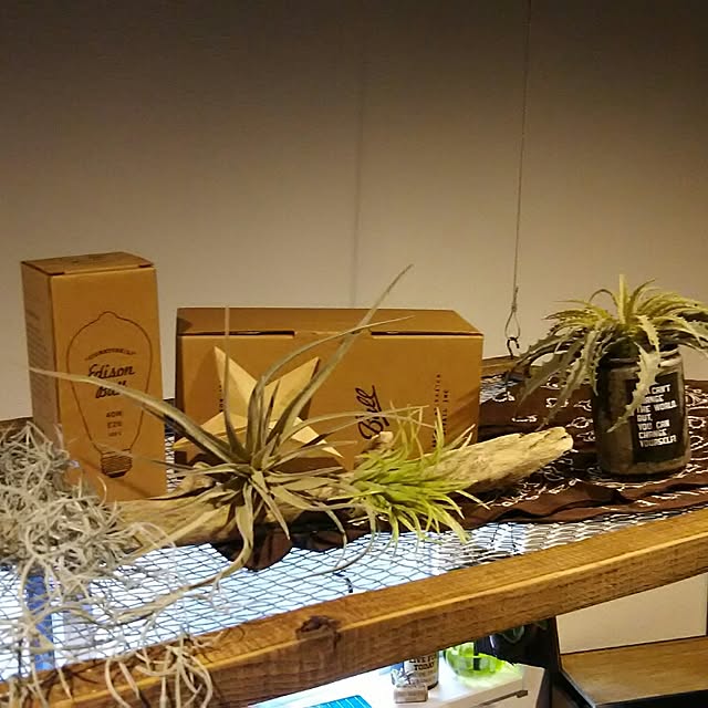 NOWHEREさんの実例写真