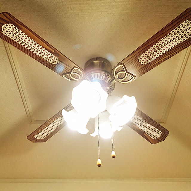 shiryuさんの実例写真