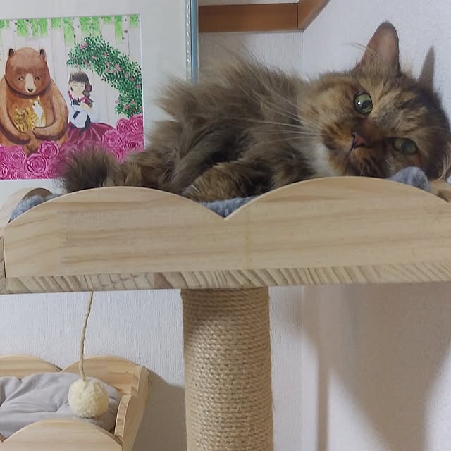 yumiさんの実例写真