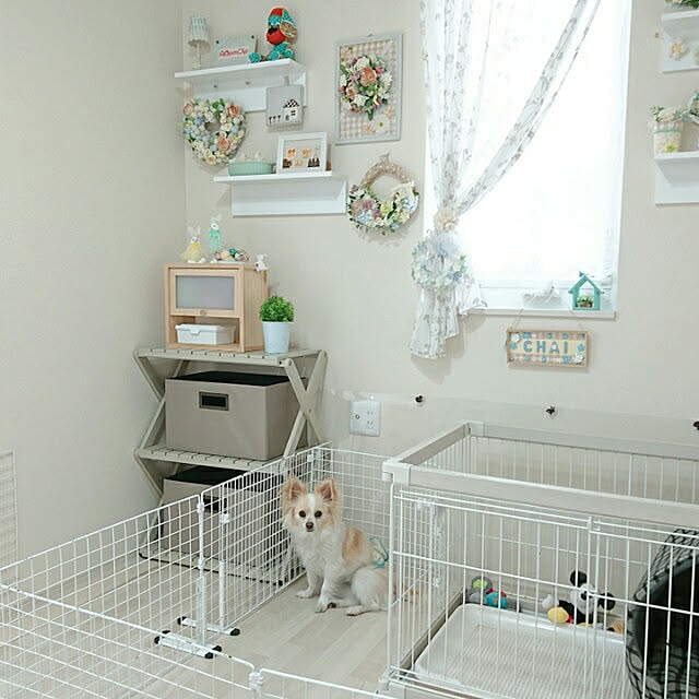 PAOさんの実例写真