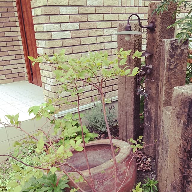 玄関/入り口/照明/植物のインテリア実例 - 2014-07-15 18:22:50