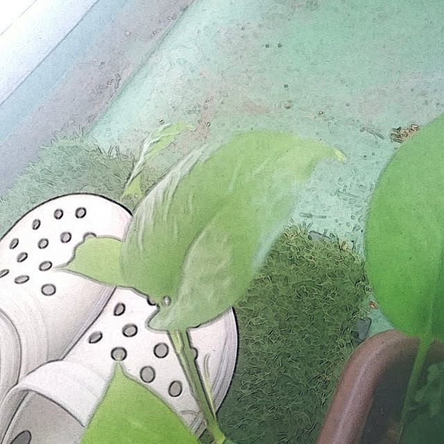 imanoyukikoさんの実例写真