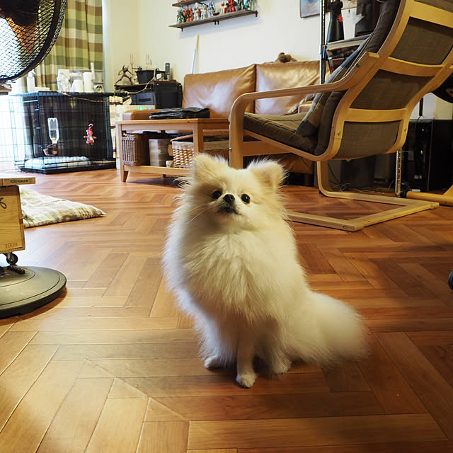 yukoさんの実例写真