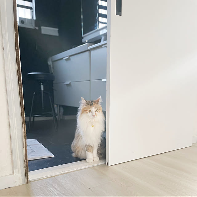 mya___kさんの部屋