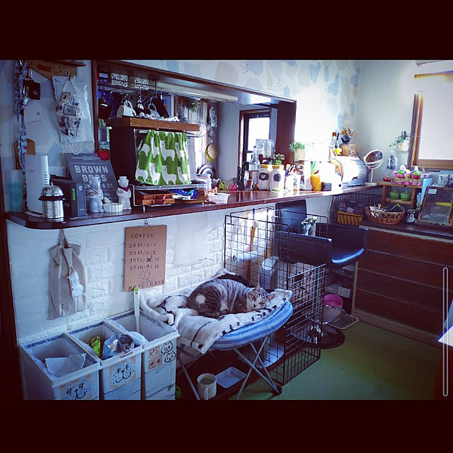 mntcさんの実例写真