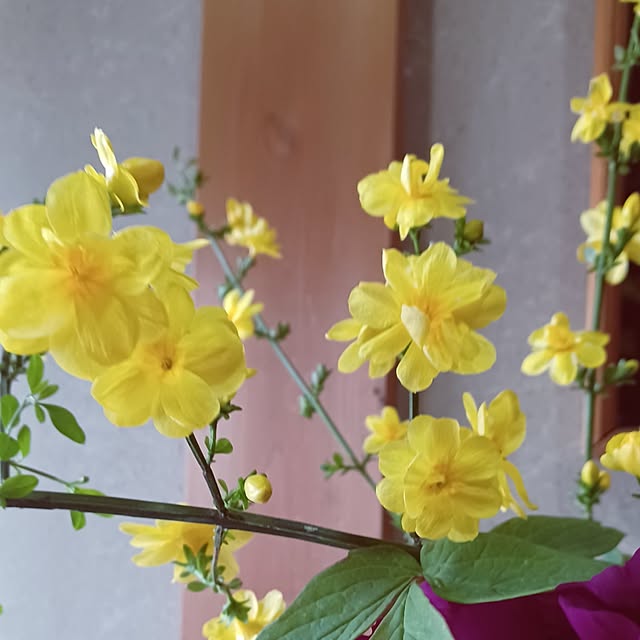 hiro.904さんの部屋