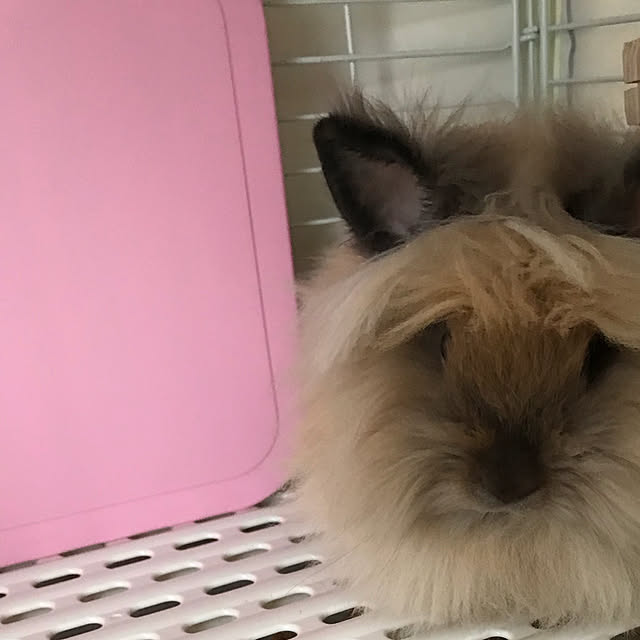 mさんの実例写真