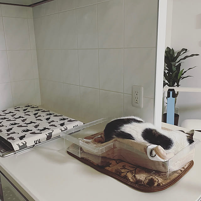 hemukoさんの実例写真