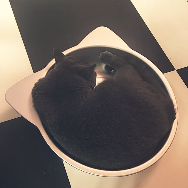 Shojiさんの実例写真