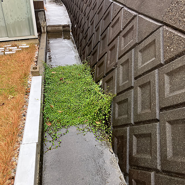 sachimさんの部屋