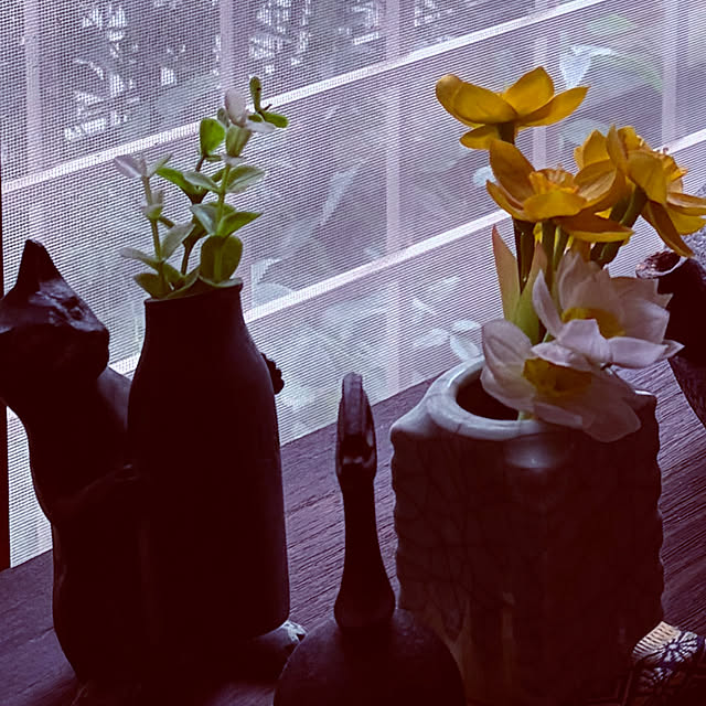 chacoさんの部屋