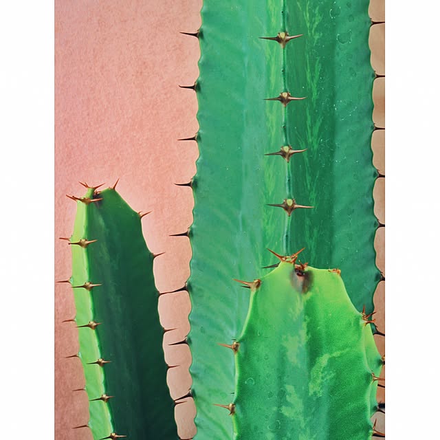 kさんの実例写真