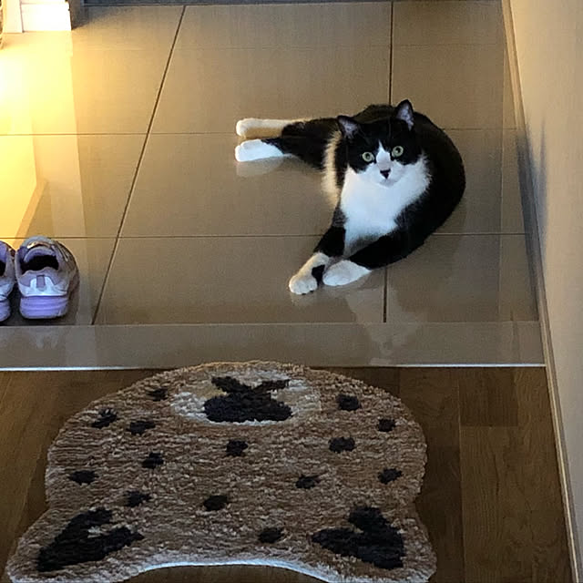 Licaさんの実例写真