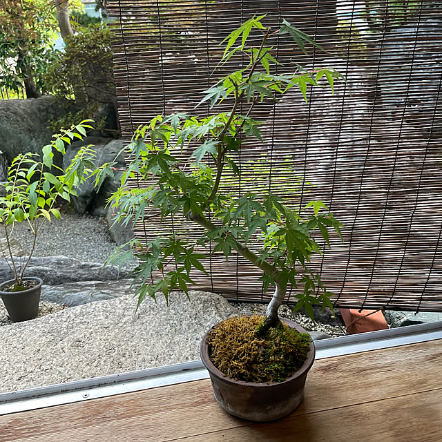 shin0719さんの実例写真