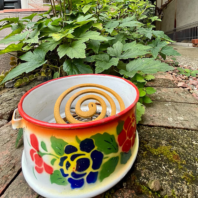 cotaさんの部屋