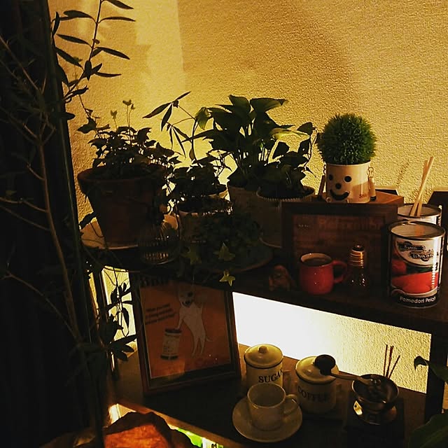 N.Yuyaさんの実例写真
