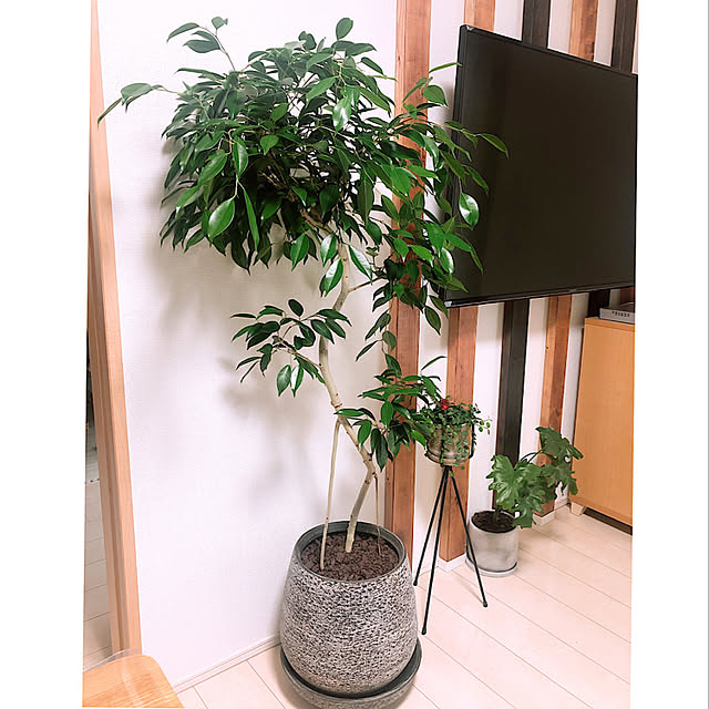 no_bueaさんの実例写真