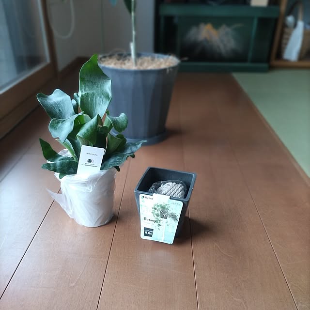 sakiさんの実例写真