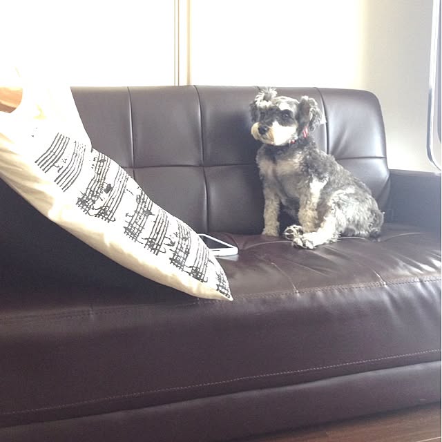 Lennonさんの実例写真