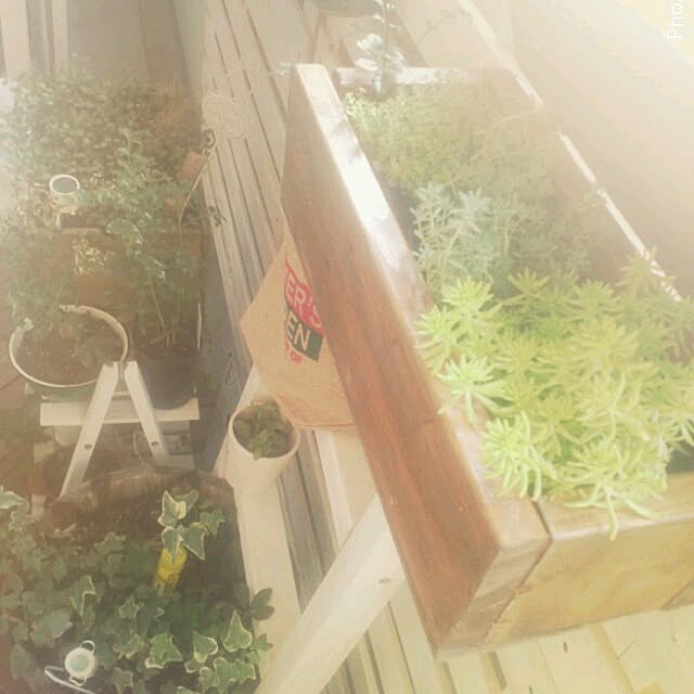 chiさんの実例写真