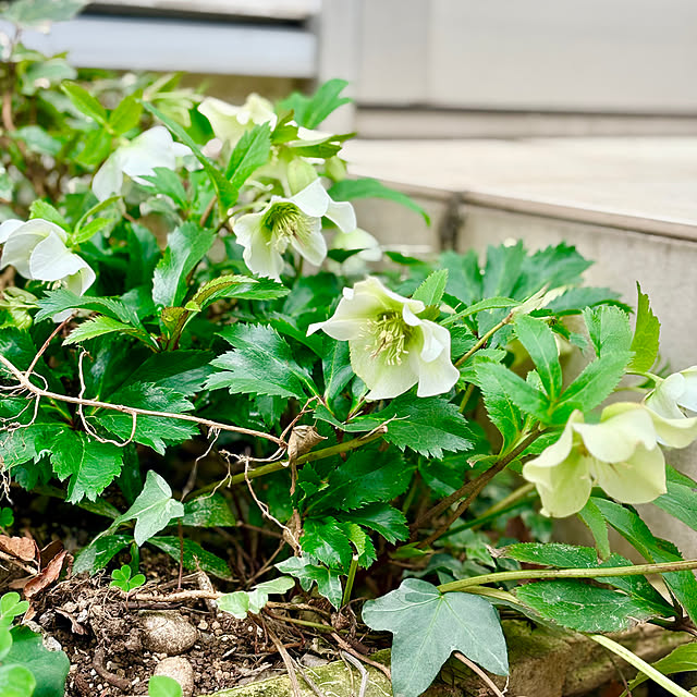 sagocchiさんの部屋