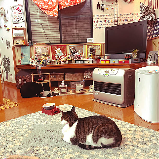 jijiさんの実例写真
