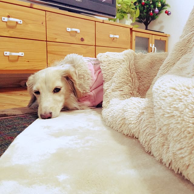 Erinさんの実例写真