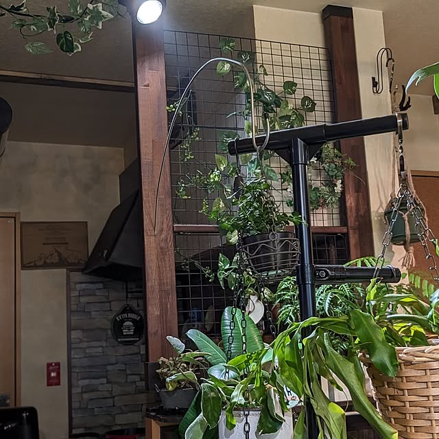 GINさんの部屋
