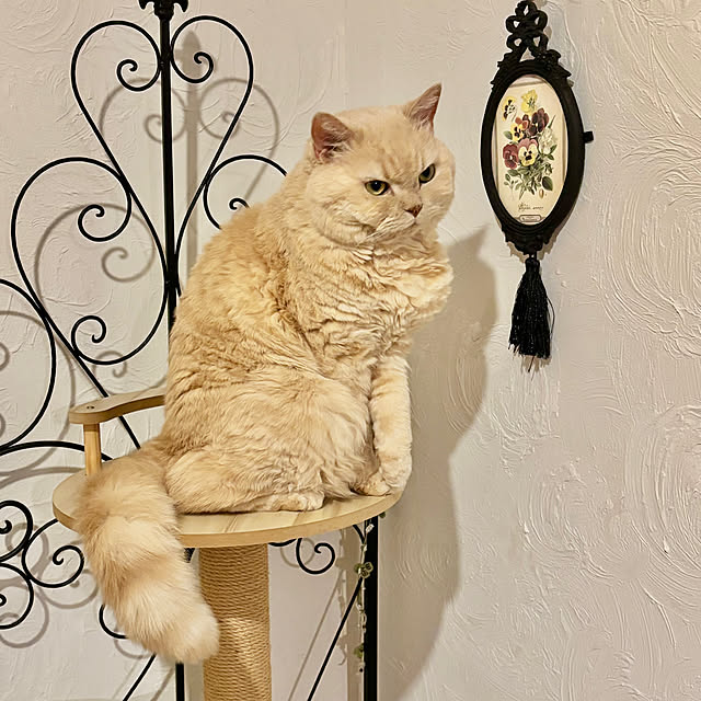 naokoさんの実例写真