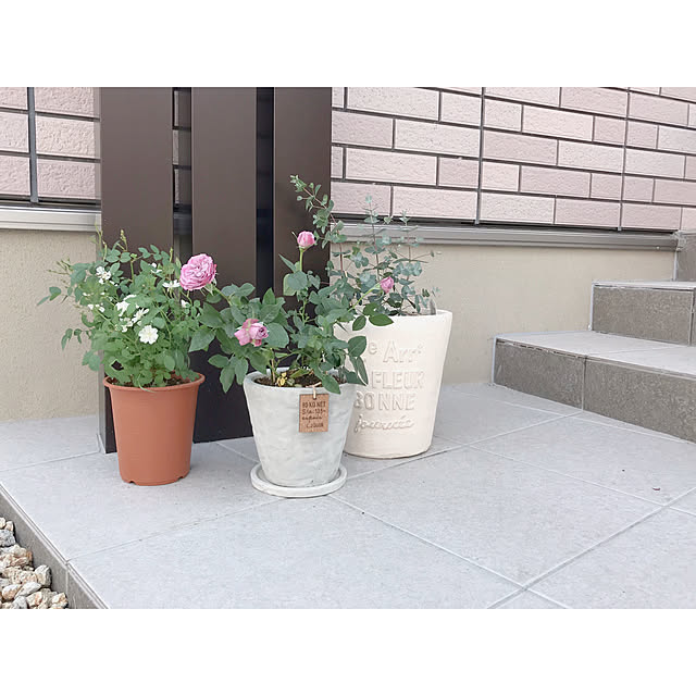 chiiさんの実例写真