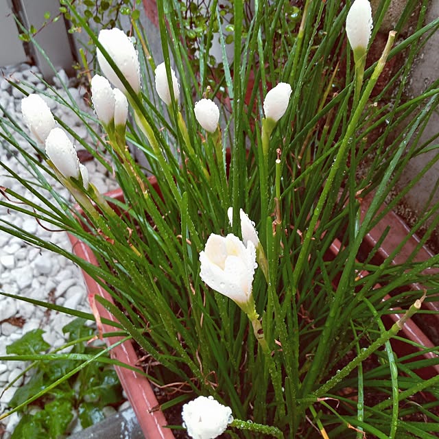 mocomocoさんの部屋
