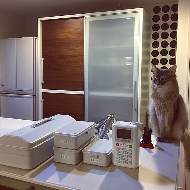 shihoさんの実例写真
