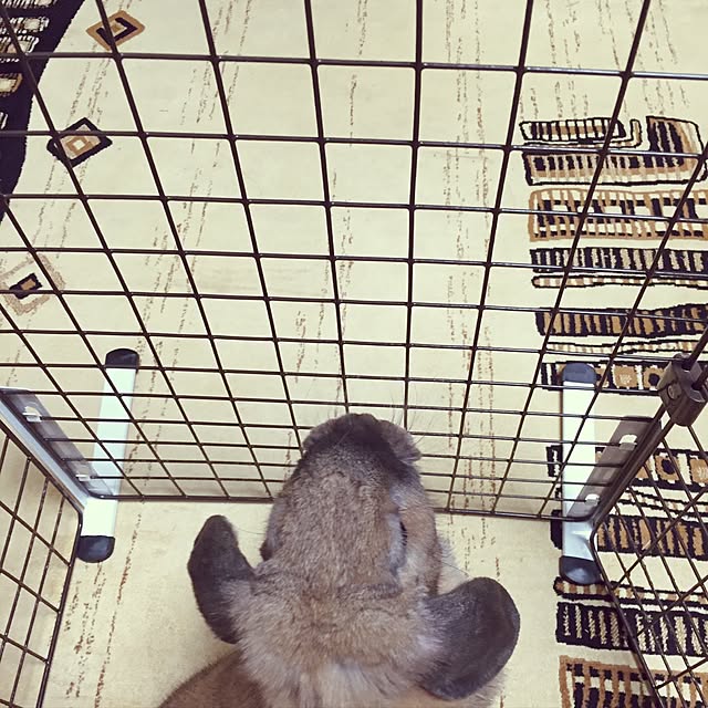 littlemomさんの実例写真