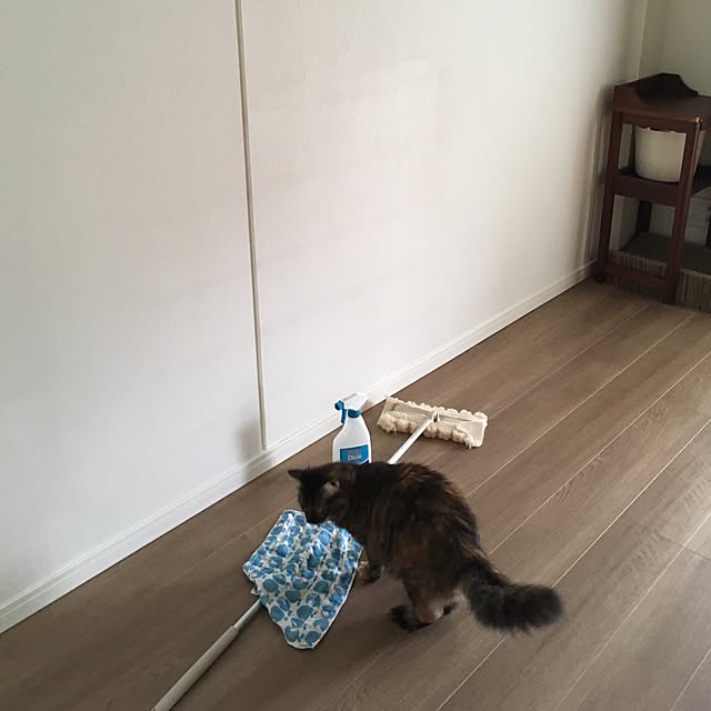 mikomaruさんの実例写真
