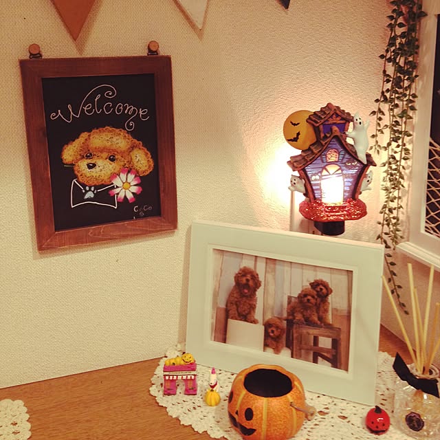 cocoshokolaさんの実例写真
