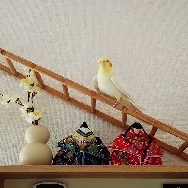 toratanさんの実例写真