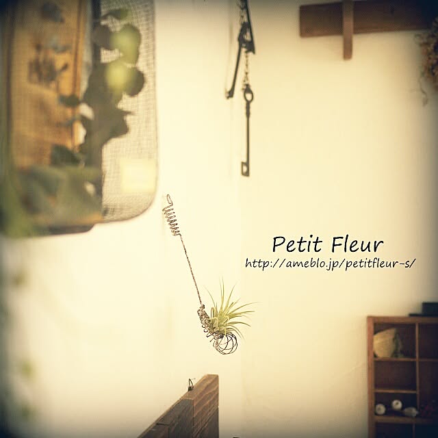 Petitさんの実例写真