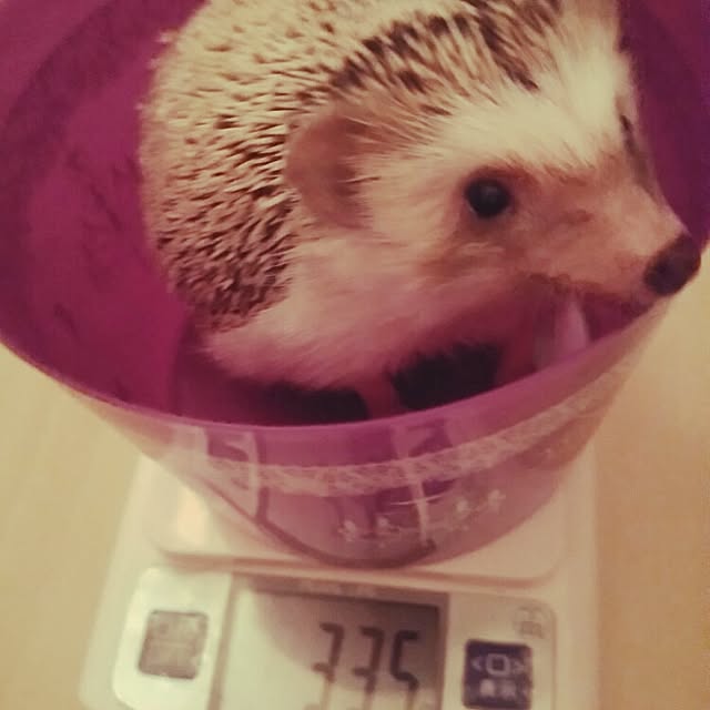 kuruさんの実例写真