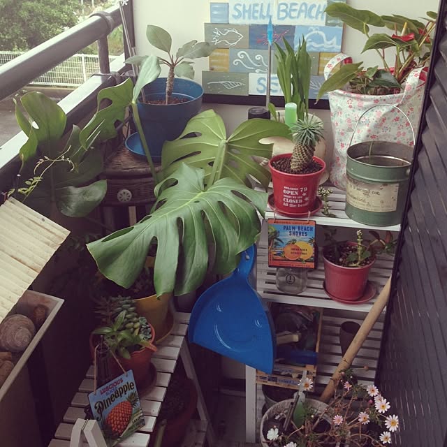 Malamaさんの実例写真