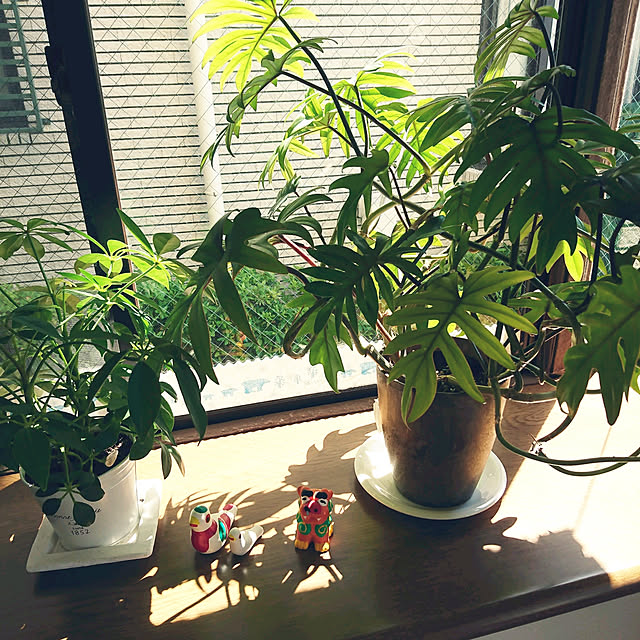 sakamo0829さんの実例写真