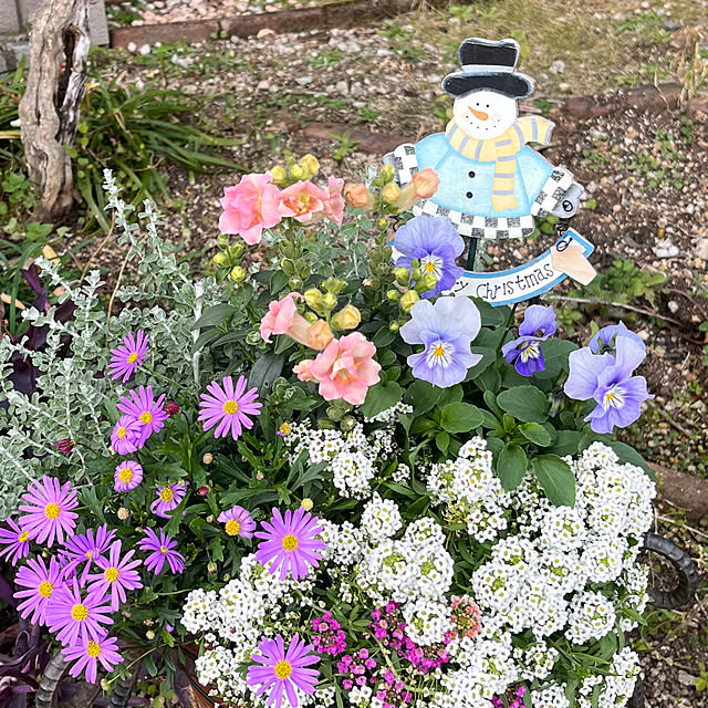 ritsukoさんの実例写真
