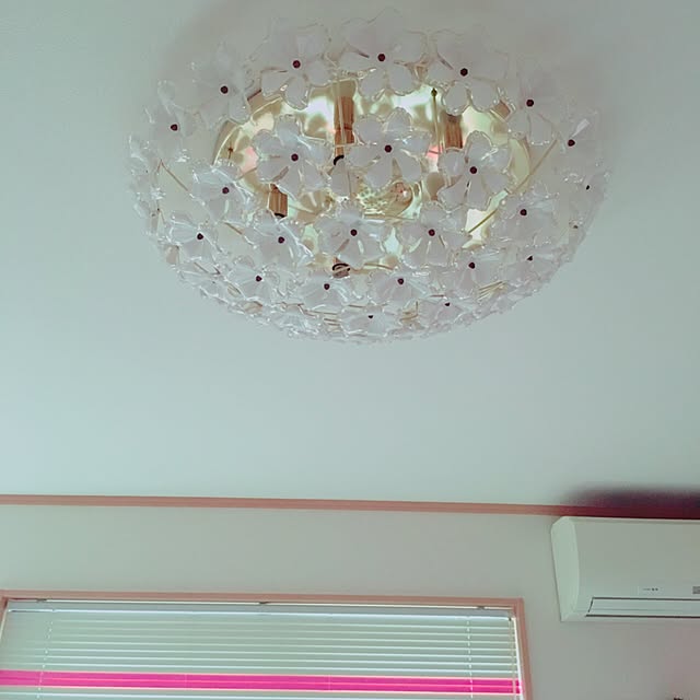amさんの実例写真